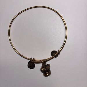 Alex and Ani Bracelet